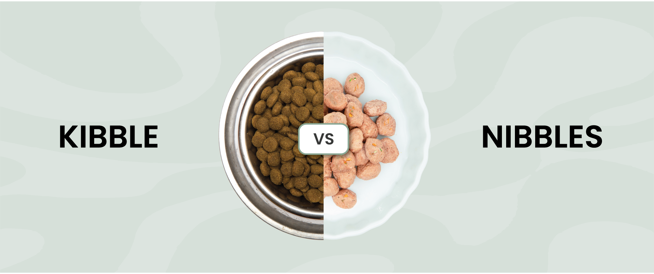 freeze-dried vs traditional dog food